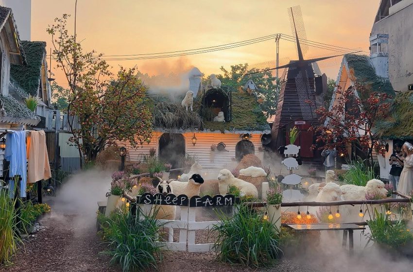  Hỉn Coffee Quận 12 – “Tắc Kè Hoa” Giữa Lòng Sài Thành: Khi Mỗi Mét Vuông Đều Là Một Khung Hình Nghệ Thuật