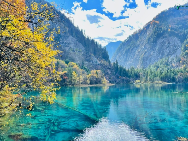  Cửu Trại Câu & Tứ Đại Kỳ Quan Tứ Xuyên: Điểm Đến Nhất Định Phải Đến Một Lần Trong Đời